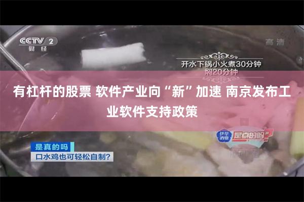 有杠杆的股票 软件产业向“新”加速 南京发布工业软件支持政策