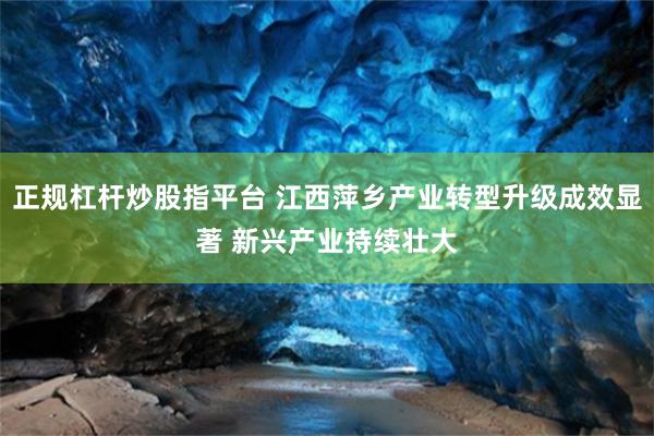 正规杠杆炒股指平台 江西萍乡产业转型升级成效显著 新兴产业持续壮大