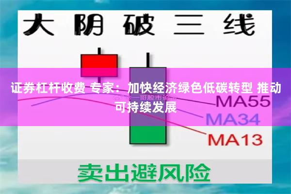 证券杠杆收费 专家：加快经济绿色低碳转型 推动可持续发展