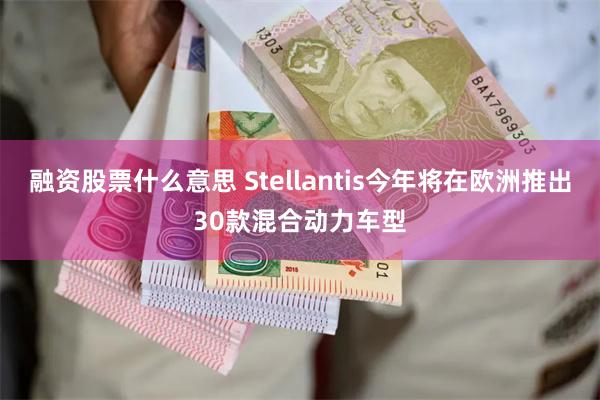 融资股票什么意思 Stellantis今年将在欧洲推出30款混合动力车型