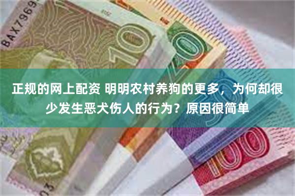 正规的网上配资 明明农村养狗的更多，为何却很少发生恶犬伤人的行为？原因很简单