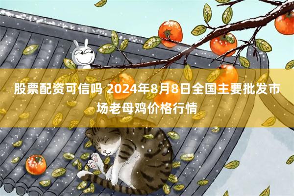 股票配资可信吗 2024年8月8日全国主要批发市场老母鸡价格行情