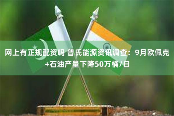 网上有正规配资吗 普氏能源资讯调查：9月欧佩克+石油产量下降50万桶/日