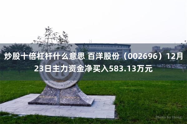 炒股十倍杠杆什么意思 百洋股份（002696）12月23日主力资金净买入583.13万元